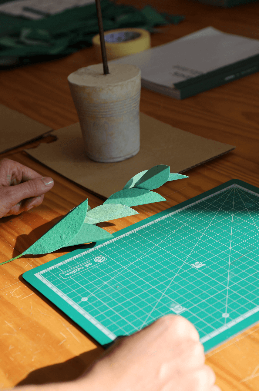 Blooming paper: a partnership with Oupas!