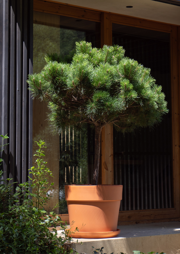 Perfect for outdoors